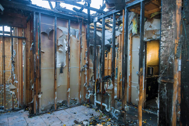 Professional Odor Removal technician working in West Hills, NY